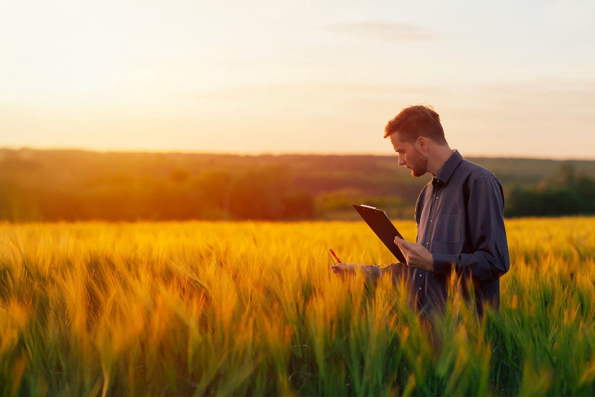 Persona in un campo simbolo di sostenibilità