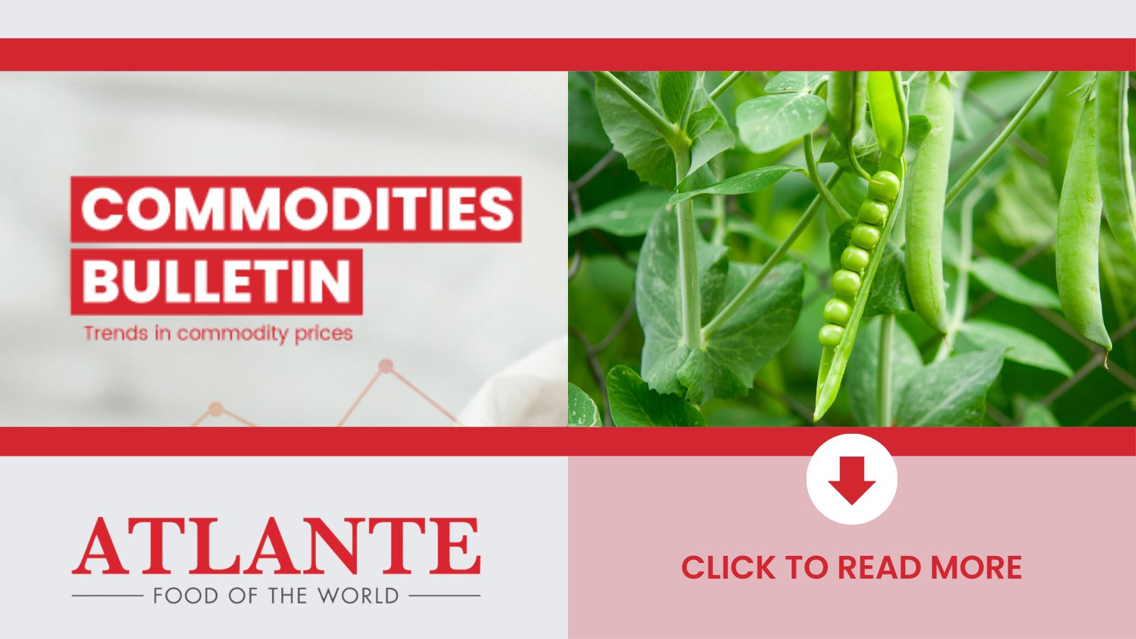 24 MayAtlante Commodities bulletinvpeas - Focus on Legumes [peas]