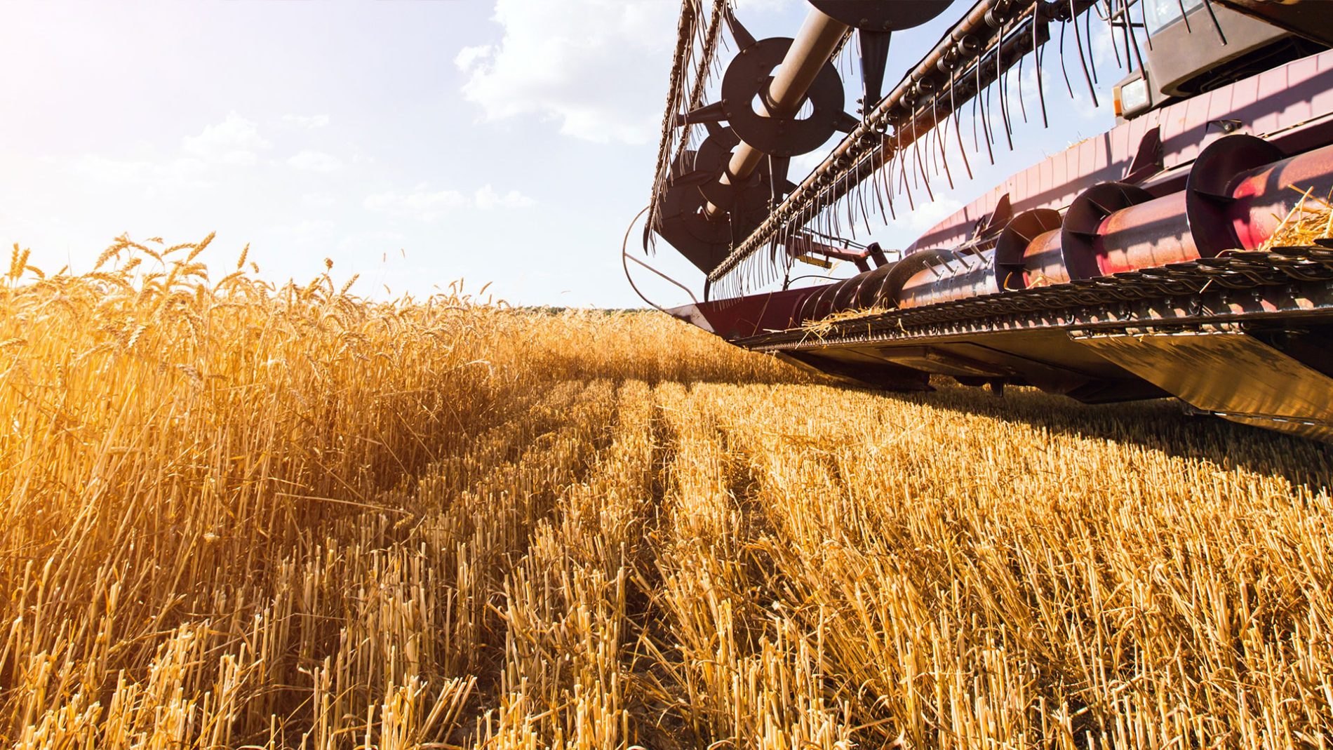 A Changing Landscape for European Agribusiness