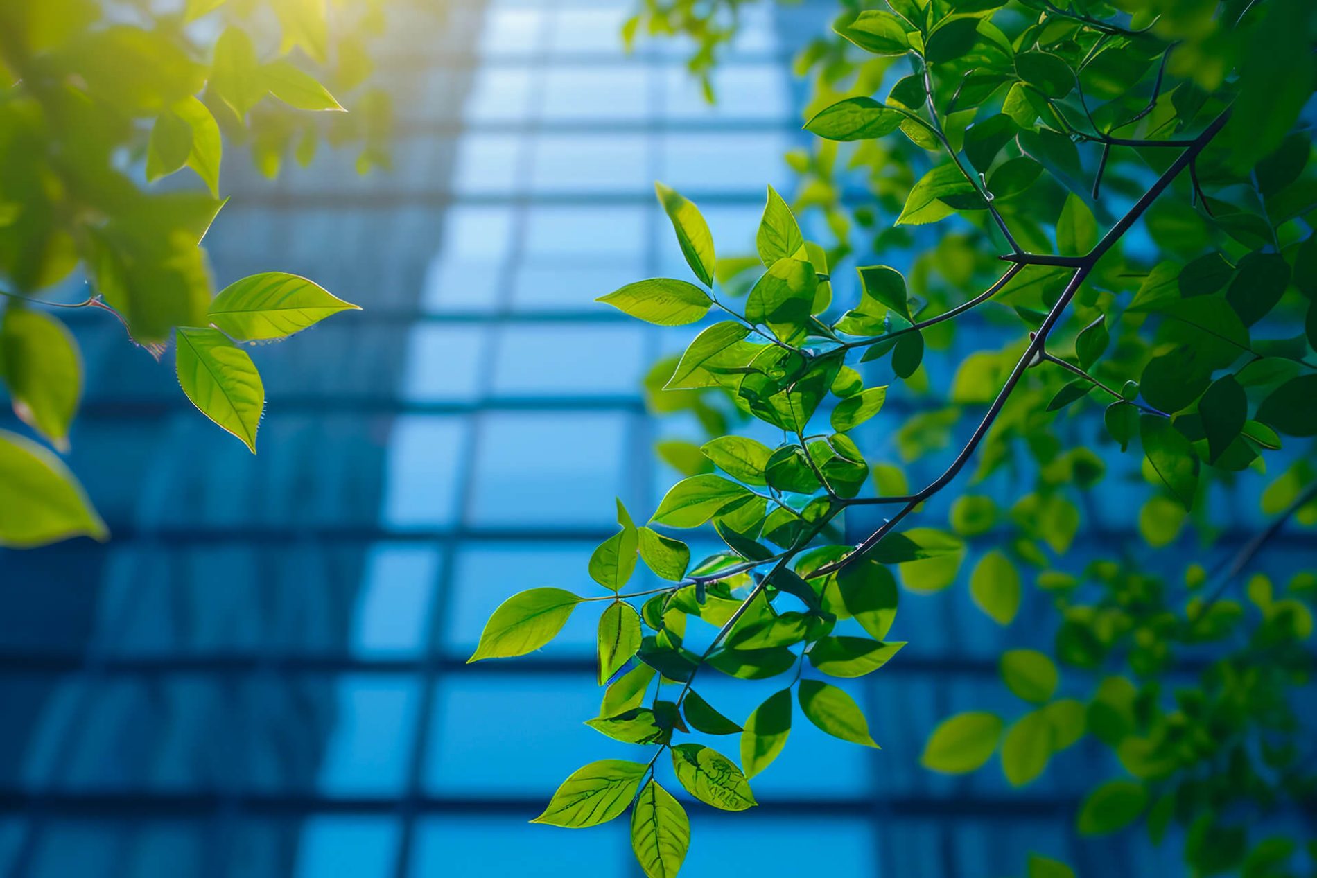 Foglie verdi a rappresentare sostenibilità