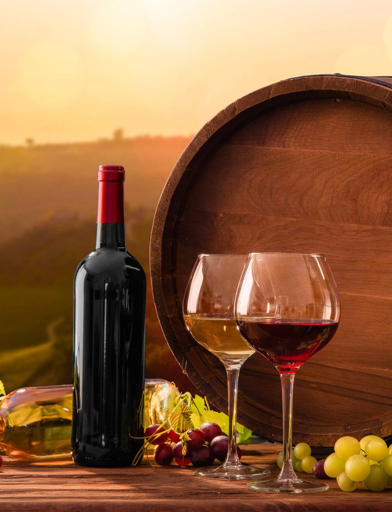 Selezione di vini rossi, bianchi e rosati con calici e bottiglie in evidenza