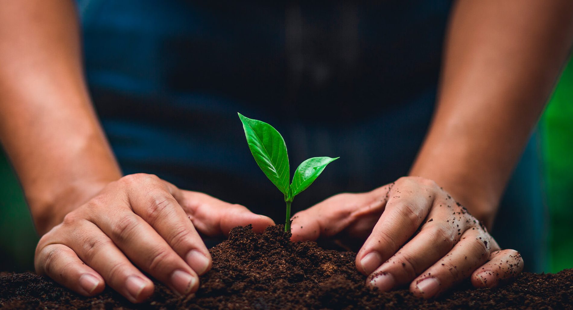 Coltiviamo il futuro