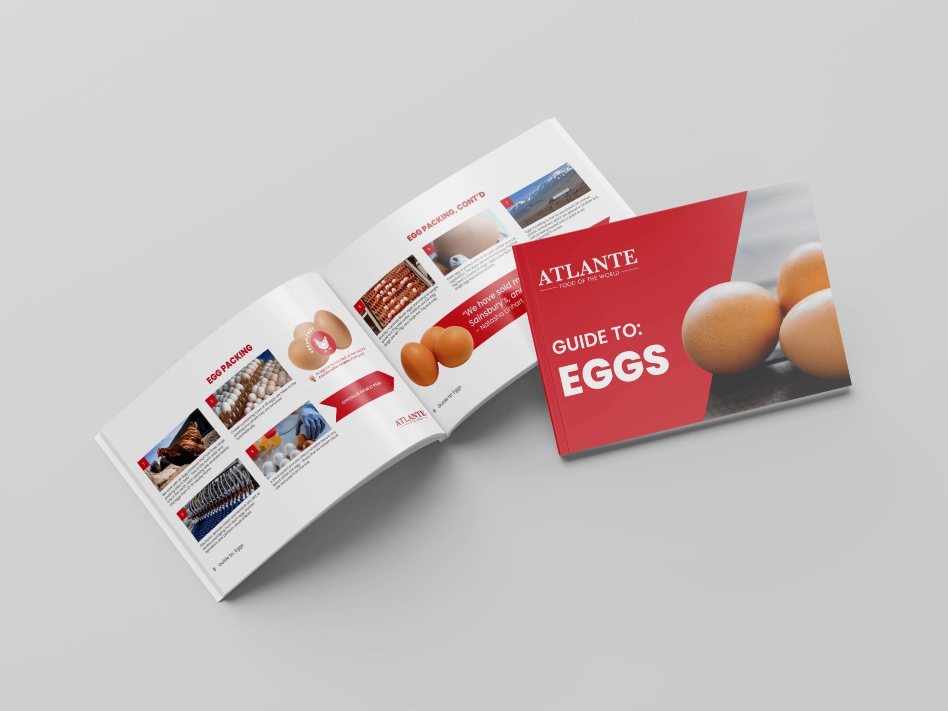 eggs brochure mock up - Atlante: Ensuring the UK's Egg Supply Even in Times of Crisis