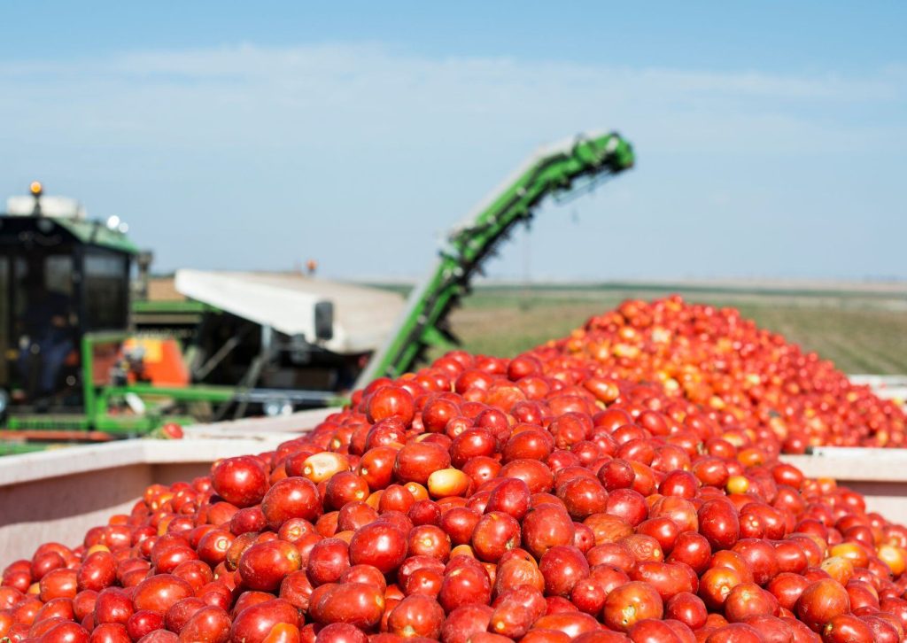 image 11 - Atlante UK Achieves Top Ratings for Food Safety Standards