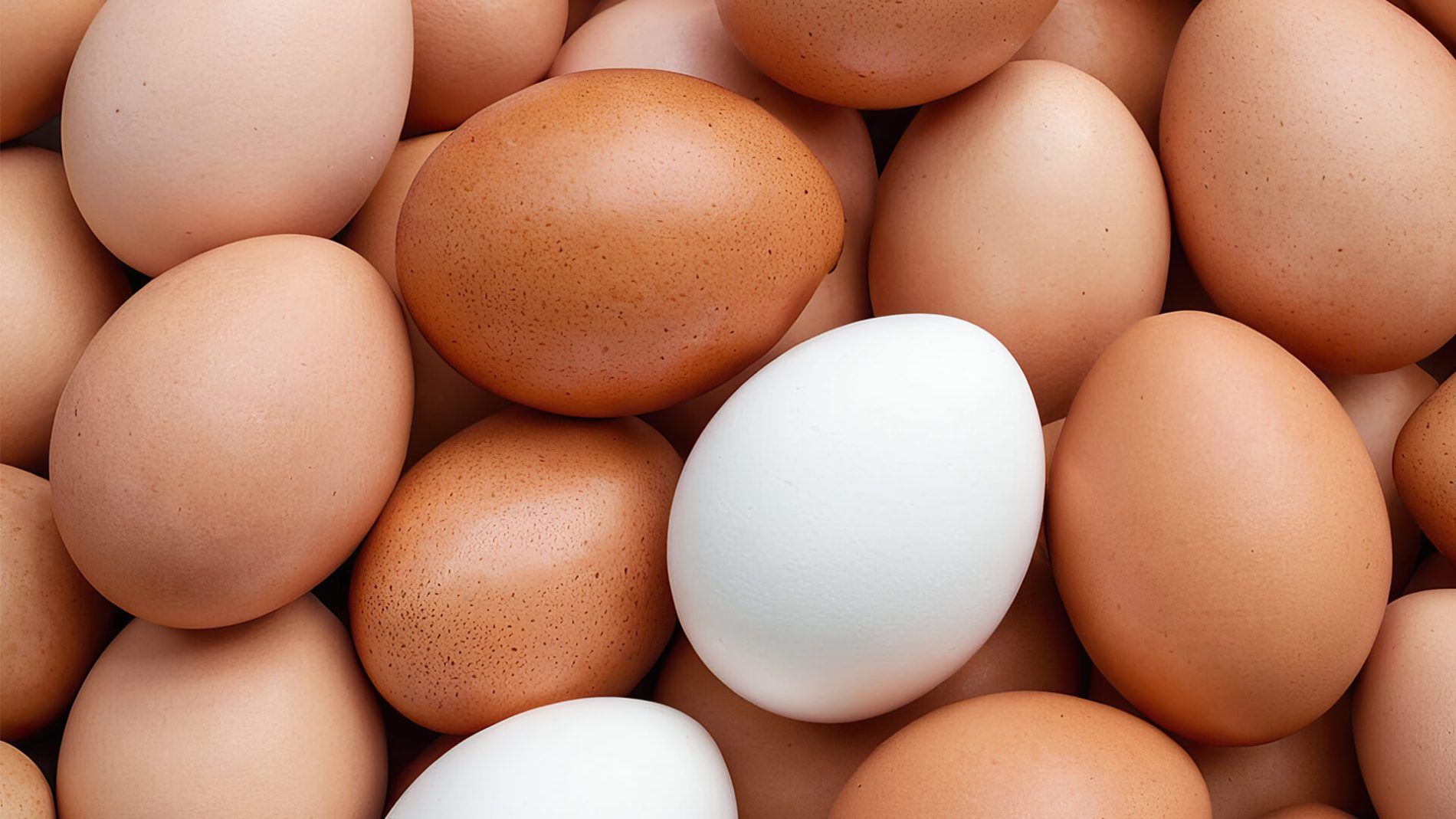 Hero Food Fraud eggs - uova