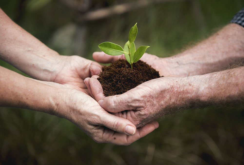 MicrosoftTeams image 35 1 - STEPS TOWARDS ENVIRONMENTAL PROTECTION
