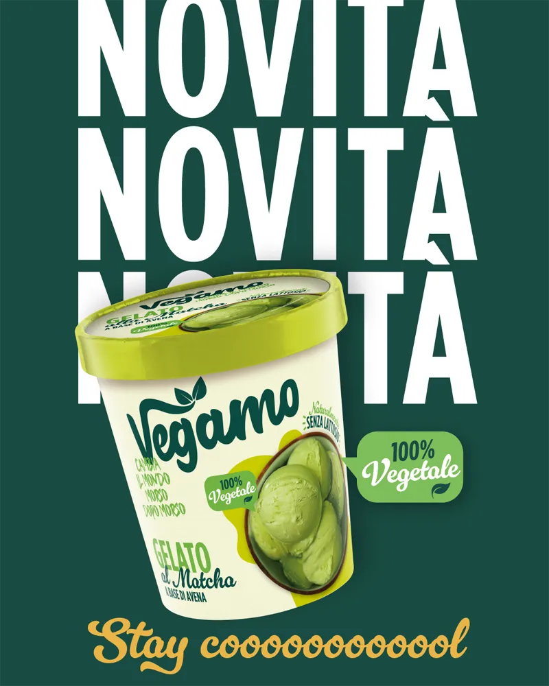 Vegamo Lanci GRAFICA 1080x1350 copia 4 | Awareness, trial e supporto al sell-out: la strategia marketing di Vegamo