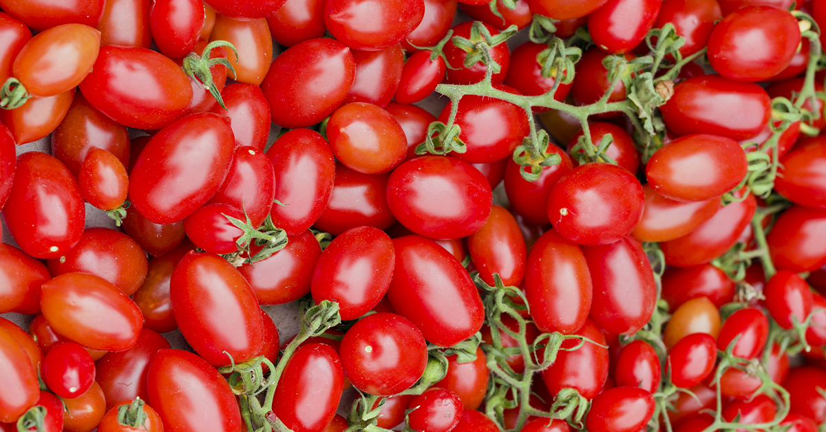 pomodori - Crisis of tomatoes. Interview for WGN Radio 720